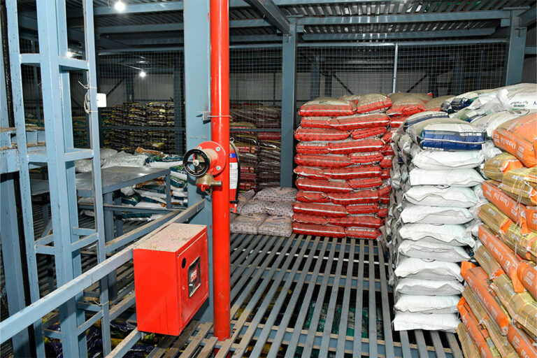 Manufacturer of Pulses and Grains