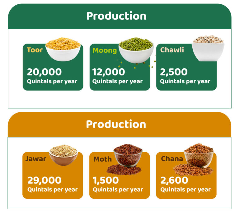 Manufacturer of Pulses and Grains