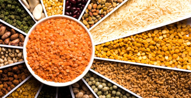 manufacturer of pulses and grains